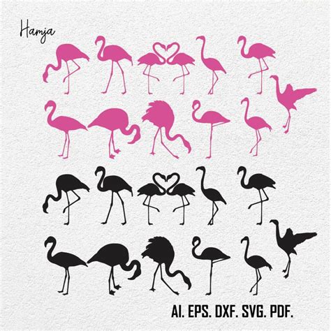 Flamingo Svg Bird Svg Flamingo Svg Bundle Flamingo Cut File