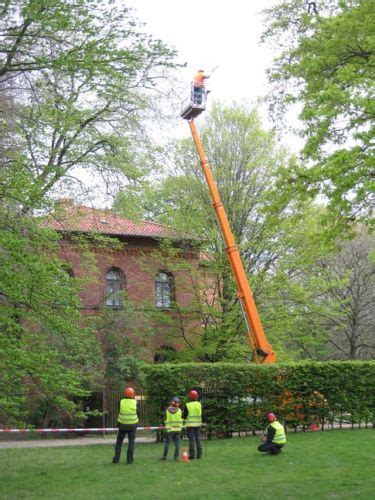 Berufe Nachhaltigkeit In Der Baumpflege Gabot De