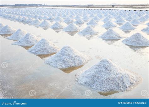 Heap Of Sea Salt In Original Salt Produce Farm Make From Natural Stock