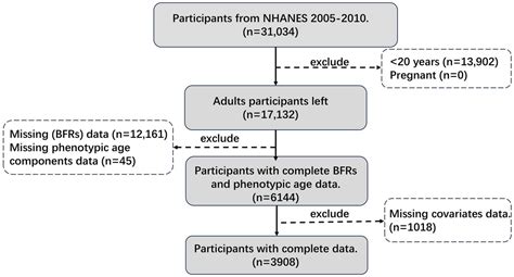 Frontiers Sex Specific Associations Between Brominated Flame Retardants Exposure And