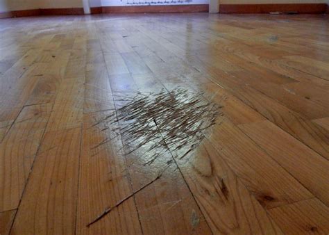 Effacer Des Rayures Sur Du Parquet Conseils Et Tapes