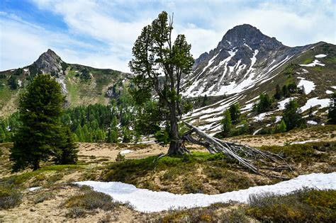 Nationalpark Hohe Tauern 19 Foto And Bild Europe Österreich