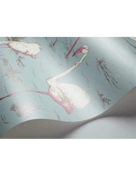 Flamingo Cole Et Fils Papier Peint Pour Tous Les Murs De La Maison