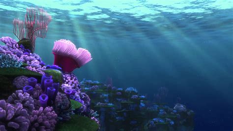 Finding Nemo Backgrounds Wallpapersafari