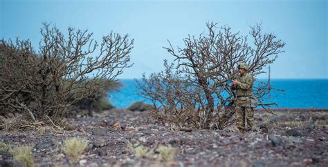 A U S Army Soldier Assigned To Combined Joint Task Nara And Dvids