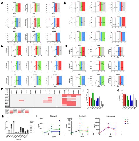 Pharmaceutics Free Full Text Determination Of The Pharmacokinetics And Pharmacodynamics Of