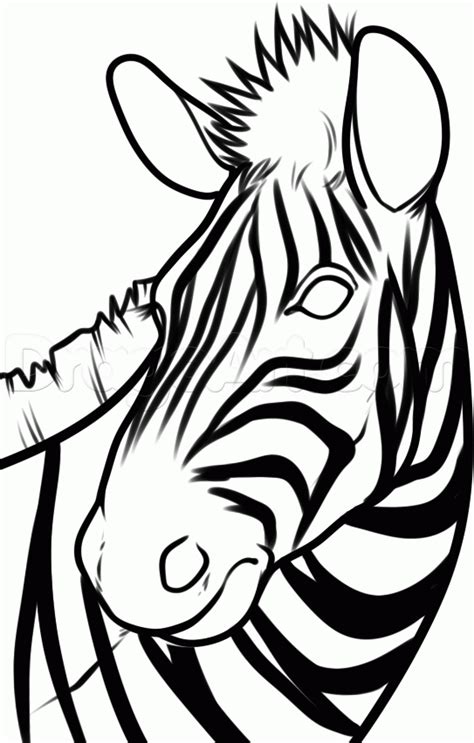 A Zebras Head Is Shown In Black And White