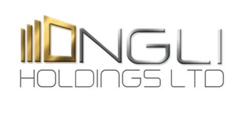 NGLI Holdings Ltd. - 駐日イスラエル大使館 経済部