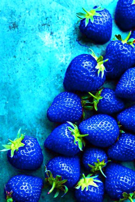 509 Blue Strawberry Seeds For Delicious Mini