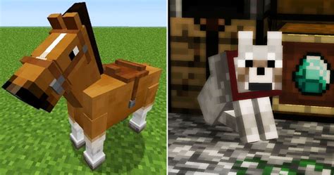 Best Minecraft Biome Mods