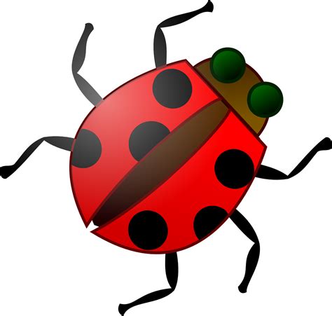 Download Insect, Bug, Red. Royalty-Free Vector Graphic - Pixabay