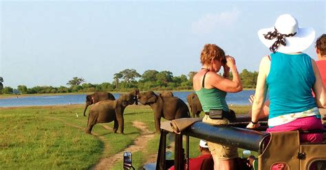 Vanuit Hikkaduwa Udawalawe Nationaal Park Safari Tour Getyourguide