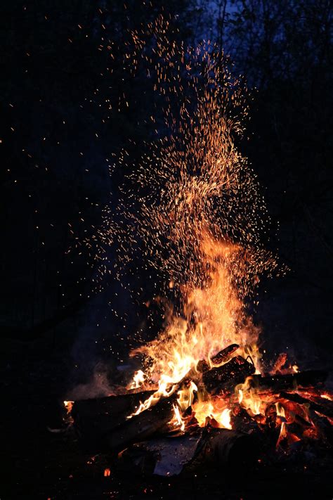 Fotos gratis bosque noche chispa llama fuego leña hoguera