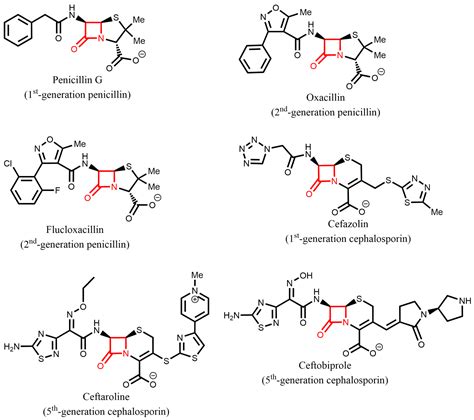 Antibiotics Free Full Text Molecular Determinants of β Lactam