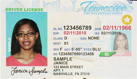 Tennessee Id Card Tennessee Id Requirements For Voting By Mail