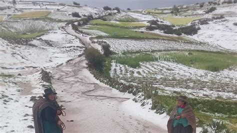 Huancavelica Intensa Granizada Afecta A Hect Reas De Cultivos En