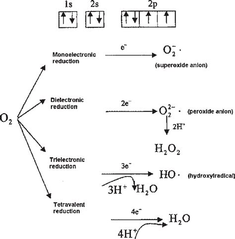 Electronic configuration of the oxygen atom | Download Scientific Diagram
