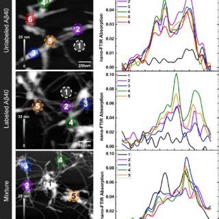 Lll Figure Is A Low Resolution Version Lll Nanoscale Infrared Imaging