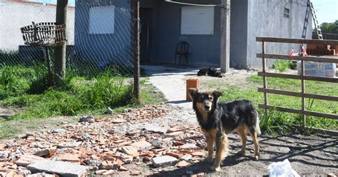 Femicidio en La Plata Quién era la mujer asesinada a puñaladas en su