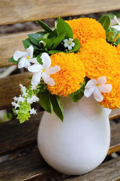 Marigold | Flower arrangements, Arrangement, Flowers