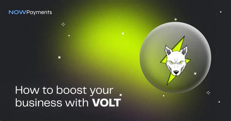 How To Boost Your Business With Volt Inu Token NOWPayments