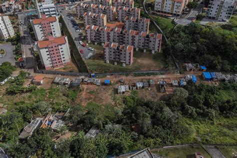 Rea De Futuro Parque Na Zona Leste De Sp Restos De Mata Atl Ntica