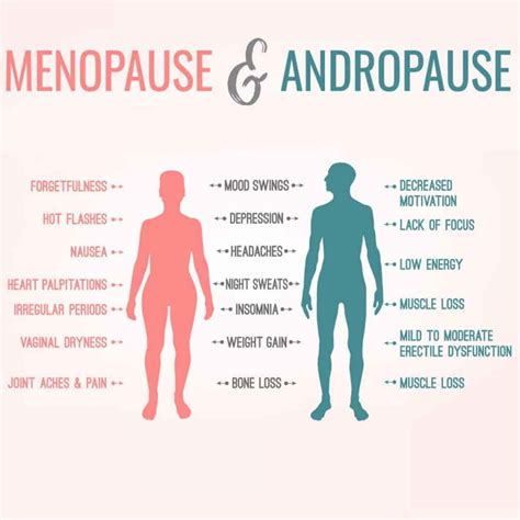 Hrt Vs Trt Whats The Difference Lindy Health