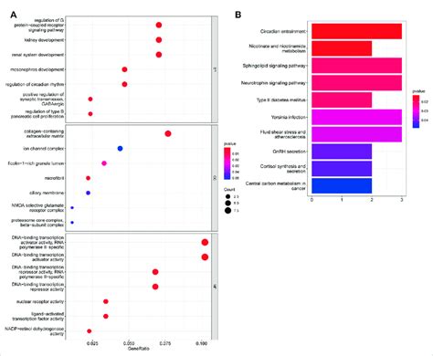 Assessments Of Functional Enrichment A Bubble Plot For Gene Ontology