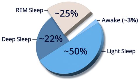 REM Sleep and the 4 Stages of Sleep