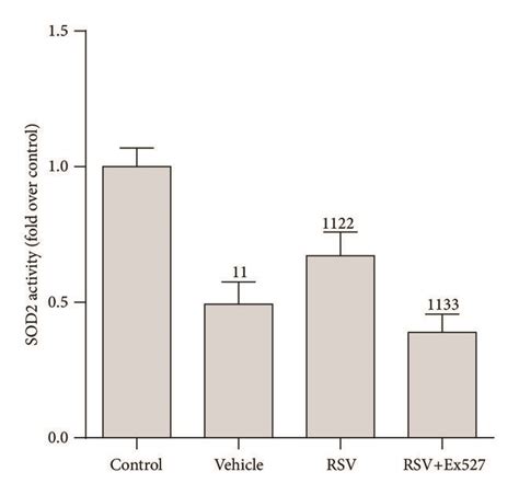 Expression Of SOD2 Protein Acetylation Level And Activity In Renal