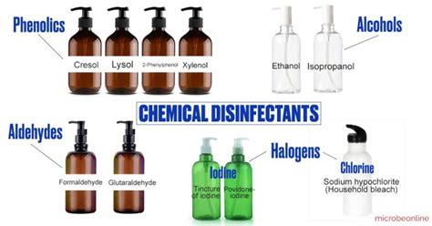 Disinfection Methods And Uses Learn Microbiology Online