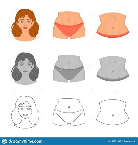 Isolated Object Of Body And Part Sign Set Of Body And Anatomy Vector