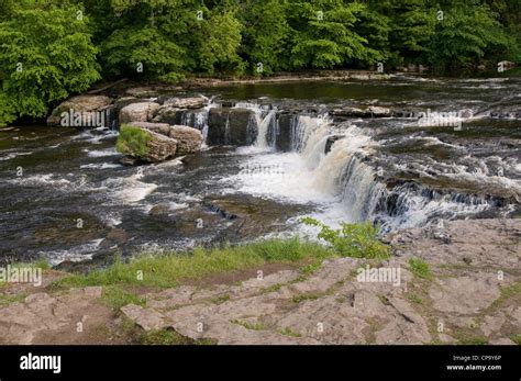 River Ure Cascading Flowing Over Stepped Limestone Rocks At Lower