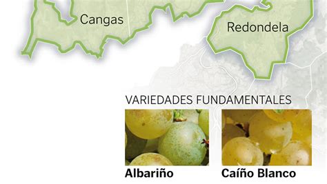 Ribeiras Do Morrazo Nueva Indicaci N Geogr Fica Protegida Para Vinos