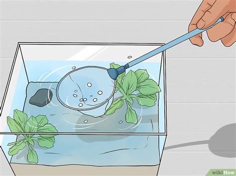 Cómo Limpiar Un Tanque De Agua Salada 12 Pasos