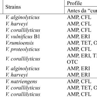 Strains of Vibrio spp . selected to detect integrons and gene cassettes... | Download Scientific ...