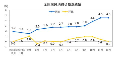 国家统计局：2019年全年全国居民消费价格比上年上涨29