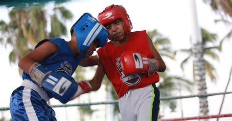 Culmina Satisfactoriamente Campeonato Regional De Boxeo