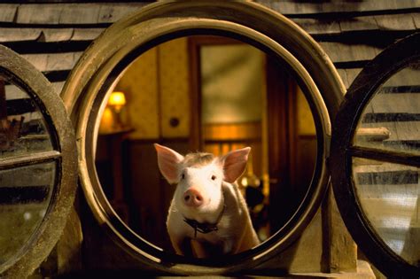 Babe Kismalac a nagyvárosban