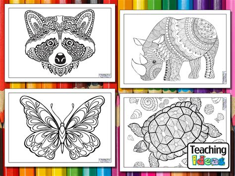 Mindfulness Colouring Images Animals Teaching Ideas