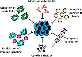 General categories of antitumor immunotherapy (clockwise from top).... | Download Scientific Diagram