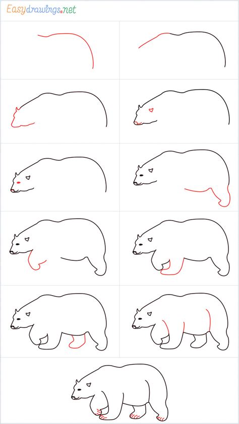 How To Draw A Polar Bear Step By Step