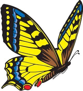 Schmetterling Png Grafik Clipart Design Png Off