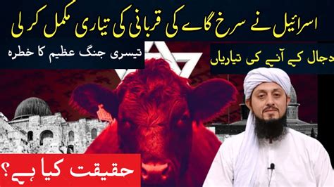 RED Heifers In Israel VS Palestine DAJJAL VS ESA Maseeh Molana