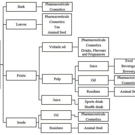 Potential Uses Of Components From Different Parts Of Sea Buckthorn [17] Download Scientific