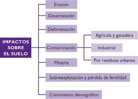 Contaminación Del Suelo