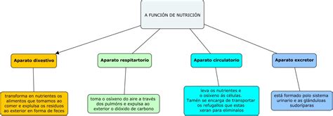 La NutriciÓn Mapa Conceptual La Nutricion Images and Photos finder