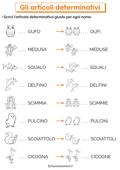 Articoli Determinativi E Indeterminativi Esercizi Per La Scuola