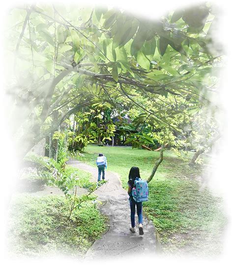 Our Mission And Vision Acacia Waldorf School