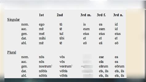 Latin 3rd Person Masculine Pronouns Plural Diagram Quizlet